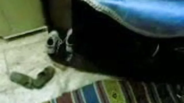 પોર્ન ઓનલાઇન કોઈ નોંધણી હોટ ઇન્ડિયન સેક્સી ફિલ્મ અરબ છોકરી દર્શાવે તેના સ્તન