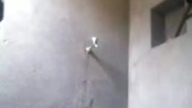 પોર્ન ઓનલાઇન કોઈ નોંધણી બાંગ્લા ફિલ્મ છોકરી 29 જોવાનું દ્વારા પિતરાઇ