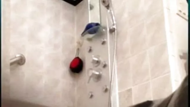 પોર્ન ઓનલાઇન કોઈ નોંધણી ભારતીય ભોસ ચુત વાળ ભારતીય નગ્ન શરીર હિડન કેમેરા દ્વારા કબજે