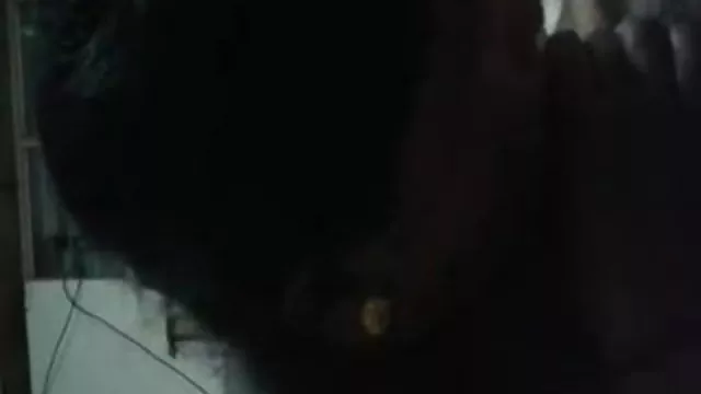 પોર્ન ઓનલાઇન કોઈ નોંધણી ભારતીય માં 1336