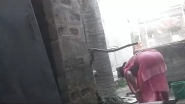 પોર્ન ઓનલાઇન કોઈ નોંધણી સેક્સી ઓપન સેક્સી પોર્ન જન્મ