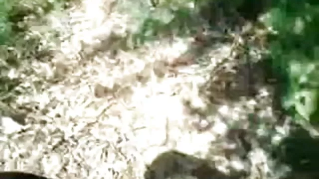 પોર્ન ઓનલાઇન કોઈ નોંધણી દક્ષિણ ભારતીય મોટા બોબલા, યુવાન,