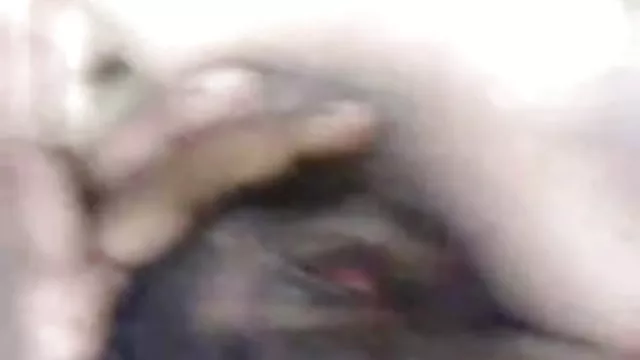 પોર્ન ઓનલાઇન કોઈ નોંધણી સેક્સી હિન્દી અડગ વિડિઓ ભારતીય દેશી છોકરી તેના બોયફ્રેન્ડ દ્વારા