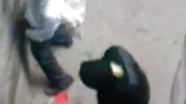 પોર્ન ઓનલાઇન કોઈ નોંધણી હિન્દી હોટ સેક્સ પાકિસ્તાની