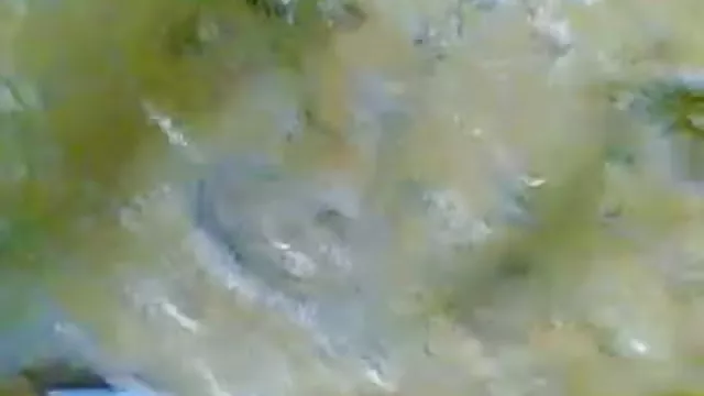 પોર્ન ઓનલાઇન કોઈ નોંધણી ખૂબ જ સેક્સી વિડિઓ ડોટ કોમ ભારતીય છોકરી તૈયાર મેળવવામાં