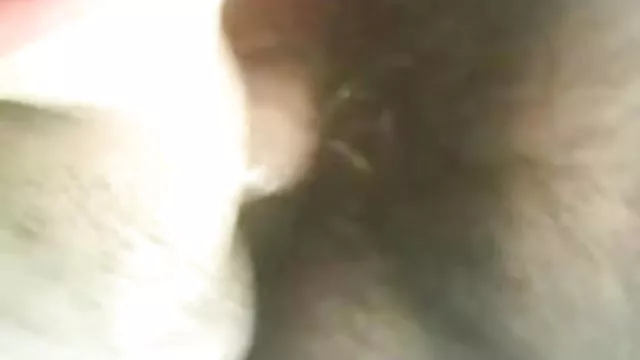 પોર્ન ઓનલાઇન કોઈ નોંધણી કરીના કપૂર ફોટો હોટ હોટ છોકરી સાથે વાહિયાત