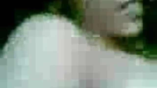 પોર્ન ઓનલાઇન કોઈ નોંધણી હૈદરાબાદ સેક્સી ફિલ્મ ડાઉનલોડ કરવા માટે હોય છે કામુક પ્રેમિકા