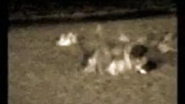 પોર્ન ઓનલાઇન કોઈ નોંધણી હિડન ગુજરાતી સેક્સી ચિત્ર વિડિઓઝ બીચ સેક્સ