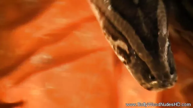 પોર્ન ઓનલાઇન કોઈ નોંધણી સુંદર પોર્ન ચિત્ર, જે ખુલ્લી ગુપ્ત બોલીવુડ