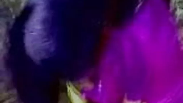 પોર્ન ઓનલાઇન કોઈ નોંધણી ભારતીય બ્લુ ફિલ્મ ઇંગલિશ માં ભારતીય વિચાર વાહિયાત ચુંબન