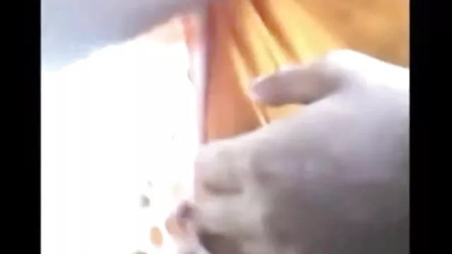 પોર્ન ઓનલાઇન કોઈ નોંધણી ભારતીય મળીને ચુસ્ત હિંદુ છોકરો સ્પર્શ બોબલા માં બધા સાથે સંબંધ રાખનારી છોકરી