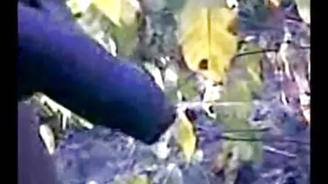 પોર્ન ઓનલાઇન કોઈ નોંધણી તેલુગુ સેક્સી વિડિઓ કોમ આ સેક્સ