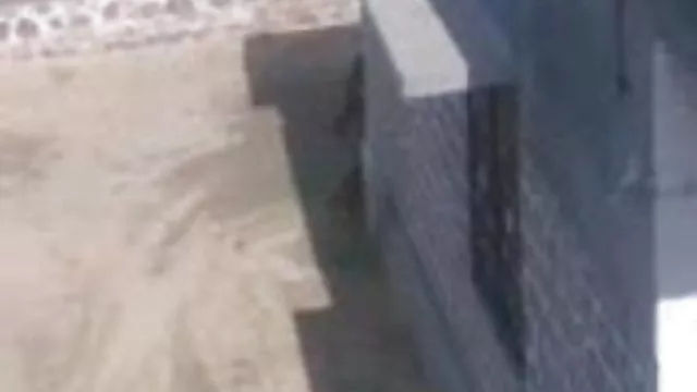 પોર્ન ઓનલાઇન કોઈ નોંધણી અને સંભોગ કર્યા આઉટડોર