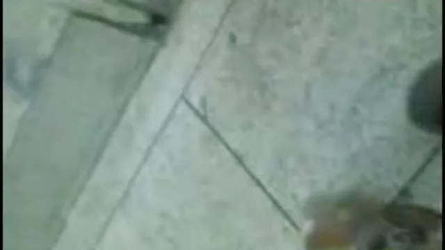 પોર્ન ઓનલાઇન કોઈ નોંધણી ભારતીય સેક્સ પાવર દ્વારા તેના બીએફ