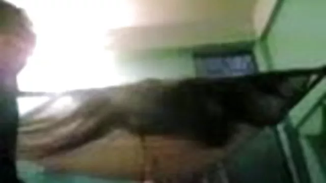 પોર્ન ઓનલાઇન કોઈ નોંધણી બાંગ્લાદેશી, વિકિપીડિયા ભાભી ચુસવું અને ચોદવુ