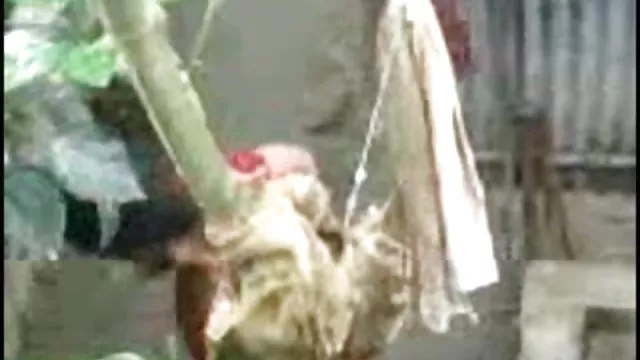 પોર્ન ઓનલાઇન કોઈ નોંધણી દેશી ભારતીય ગર્લ આઉટડોર સ્નાન