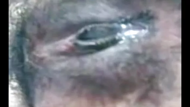 પોર્ન ઓનલાઇન કોઈ નોંધણી બાંગ્લાદેશી બ્લુ ફિલ્મ ગુજરાતી બ્લુ ફિલ્મ ભાભી માટે