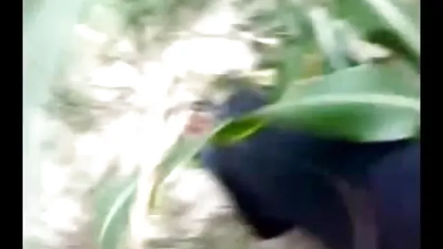 પોર્ન ઓનલાઇન કોઈ નોંધણી ગામમાં મહિલા સેક્સ વન