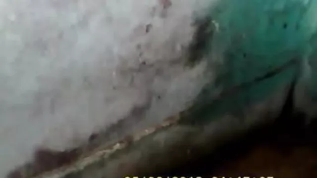 પોર્ન ઓનલાઇન કોઈ નોંધણી ભારતીય બ્લુ ફિલ્મો 1248