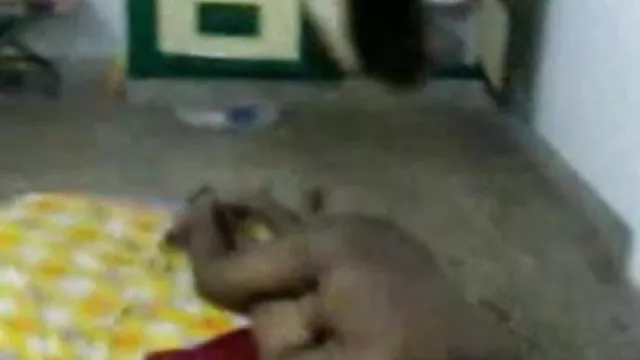 પોર્ન ઓનલાઇન કોઈ નોંધણી ભારતીય હિન્દી ગુજરાતી સેક્સી 1058 (ભાગ 01)