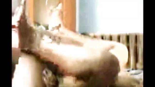 પોર્ન ઓનલાઇન કોઈ નોંધણી સેક્સી કારણ મોટા બોબલા ભારતીય બેંગલોર મમ્મી મારે તને ચોદવિ છે તેના પુત્ર દ્વારા