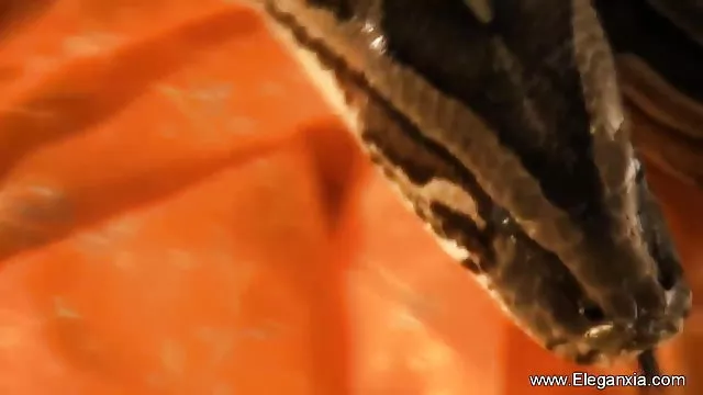 પોર્ન ઓનલાઇન કોઈ નોંધણી બોલીવુડ અડગ વિડિઓઝ કોમ સાથે પોર્ન પર પ્રદર્શિત