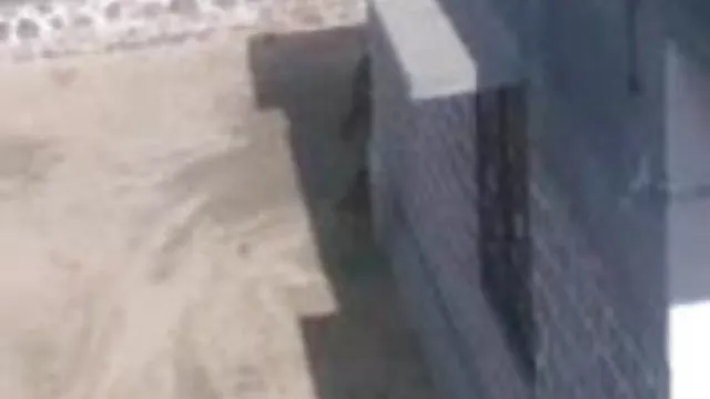 પોર્ન ઓનલાઇન કોઈ નોંધણી વિડિઓ ગીતો ભારતીય, મફત