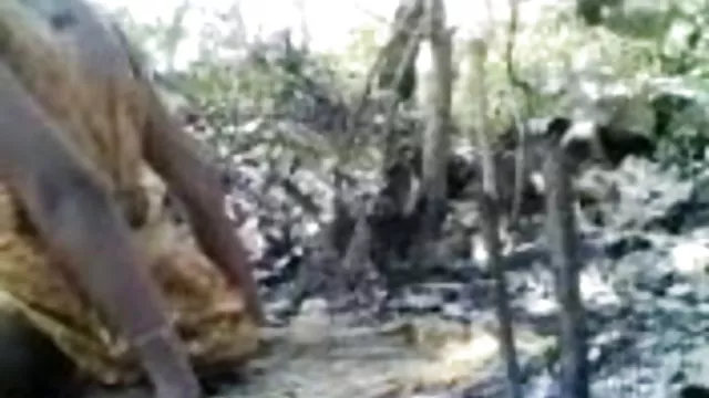 પોર્ન ઓનલાઇન કોઈ નોંધણી હોટ પોર્ન વિડિયો ભારતીય છોકરી સાથે તેના બીએફ આઉટડોર