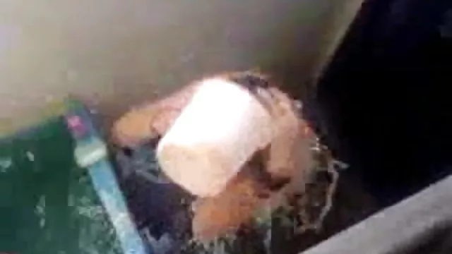 પોર્ન ઓનલાઇન કોઈ નોંધણી ભારતીય સેક્સી વિડિઓઝ ગુજરાતી ફિલ્મ છે, નોકરડી સ્નાન કરતો જોઈ ખુશ થવા વાળો